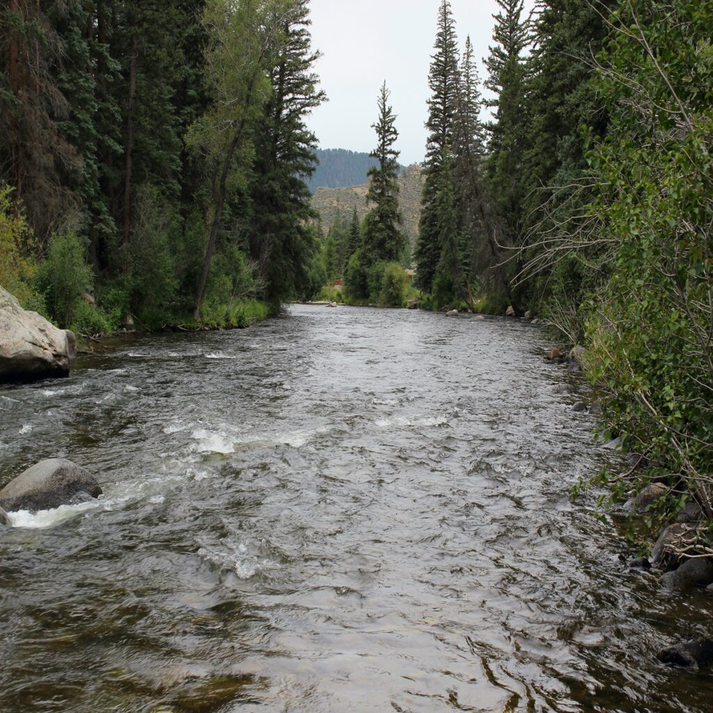 Mobi7/InterMountain WebDesign